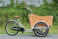 Altec-Cargo-Q4-Elektrische-Bakfiets-EBike-Driewieler-520-Wh